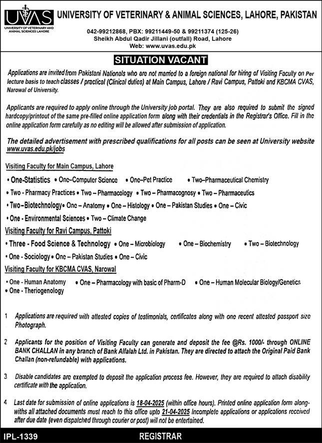 University of Veterinary & Animal Sciences UVAS Lahore Jobs 2025