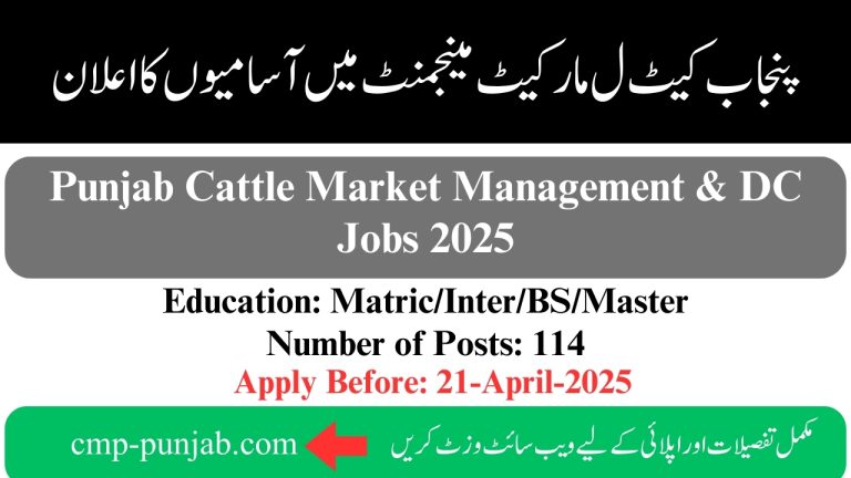 PCMMDC Jobs 2025