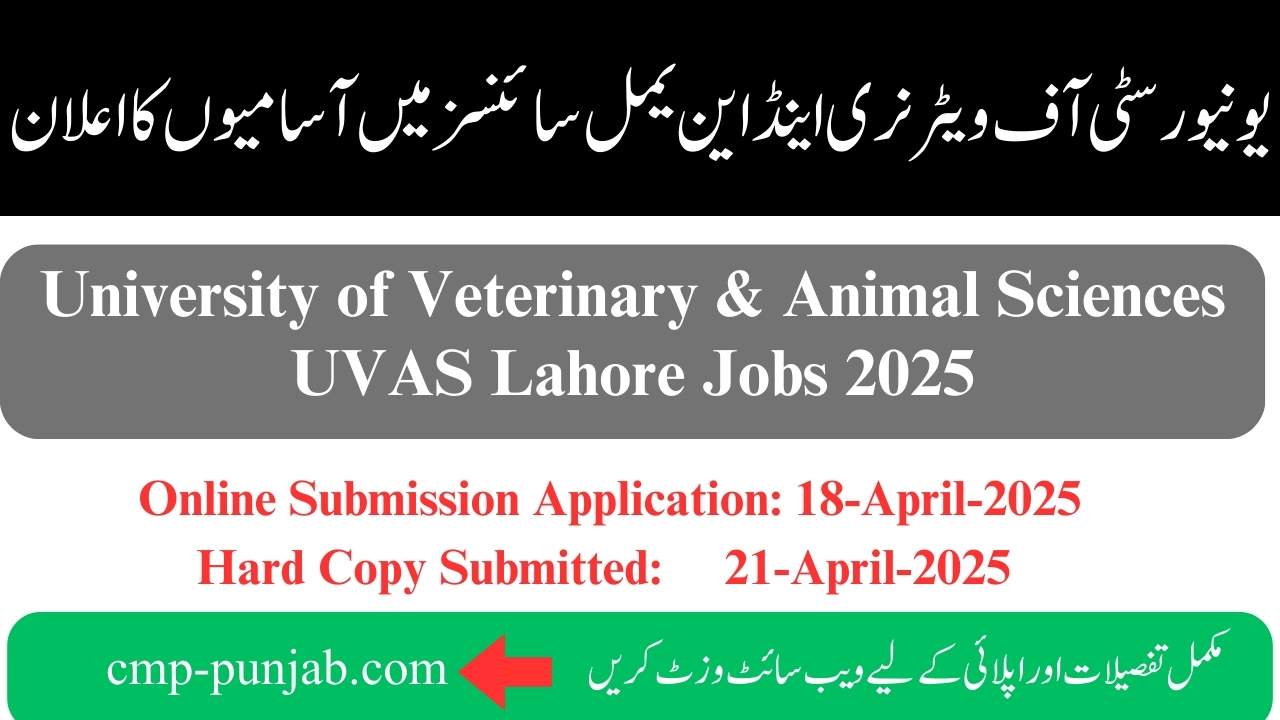 UVAS Lahore Jobs 2025